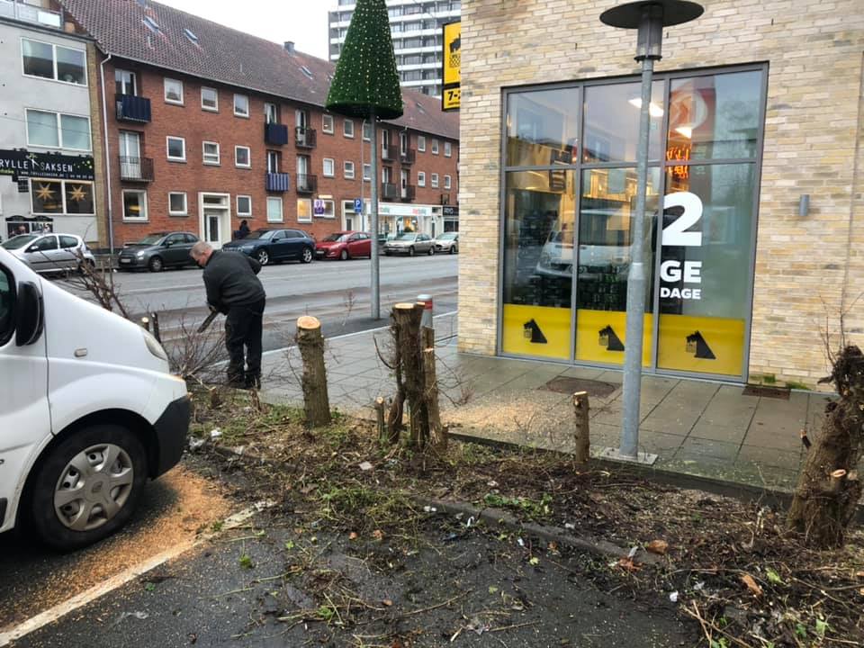 nedskæring af træer